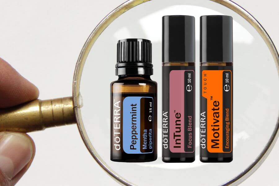 Focus kit Doterra Sanne de Vries